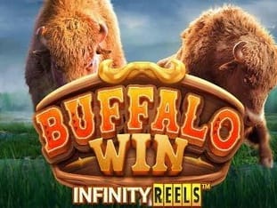 Buffalo Win game cover